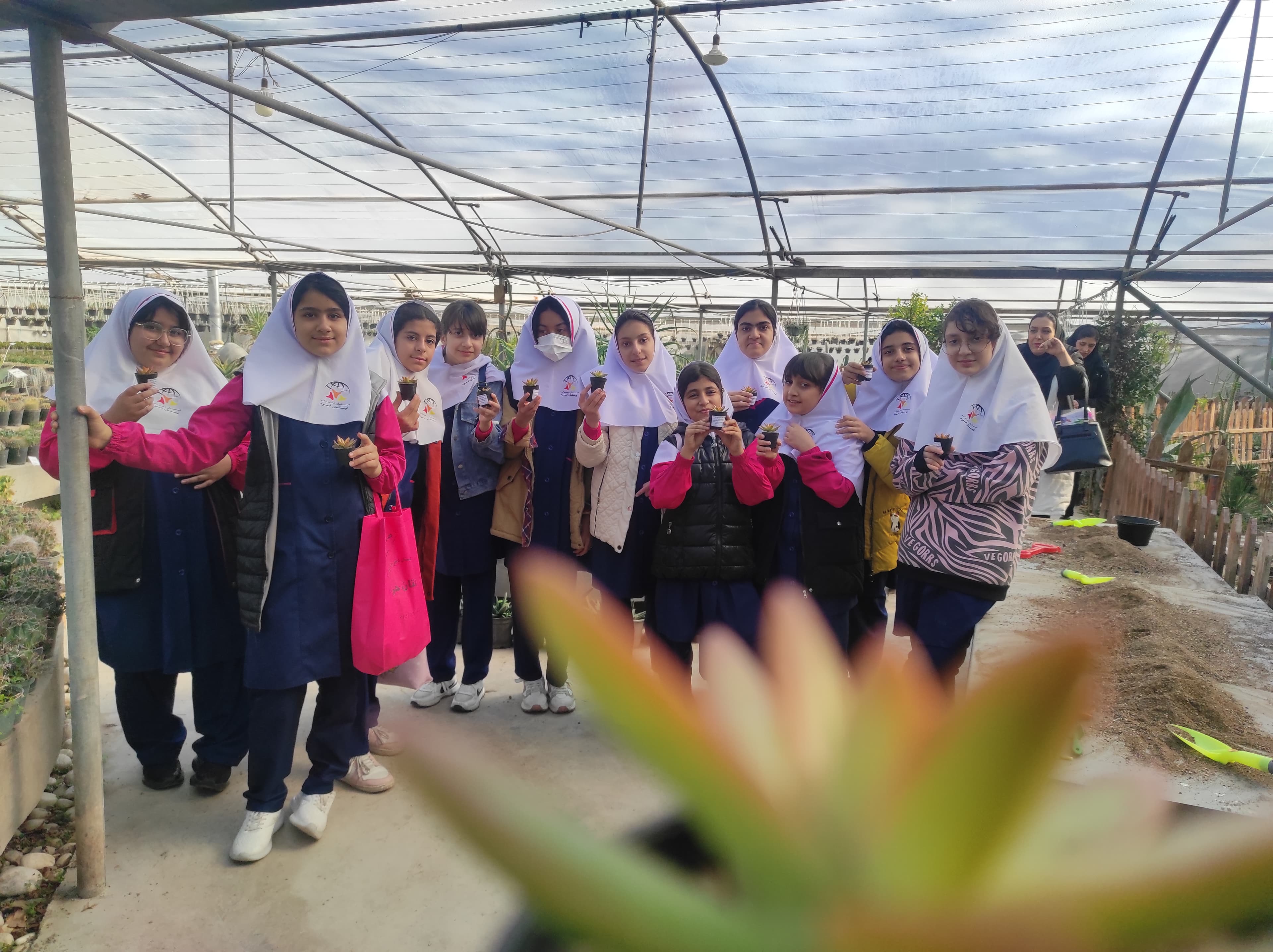 گلخانه ی ناردین کلاس ششم 1402