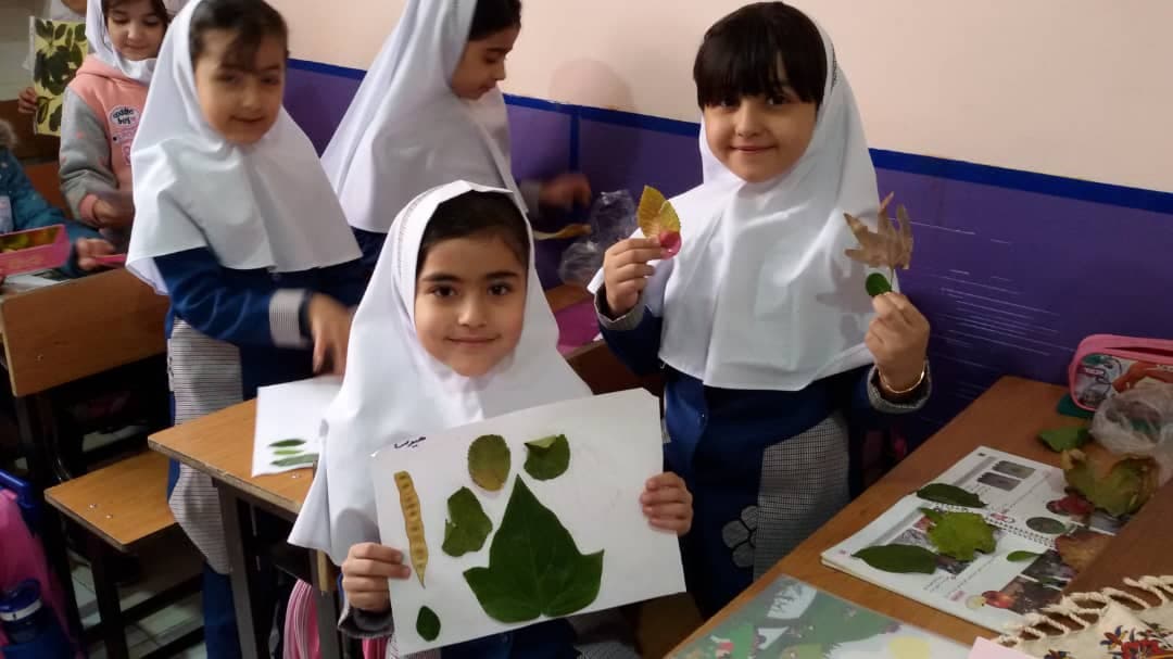 فصل گیاهان ( علوم ، کلاس اول )