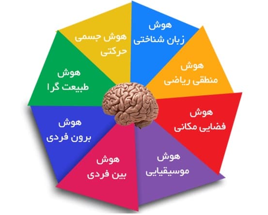 هوش های چند گانه و كاربرد آن در مدارس